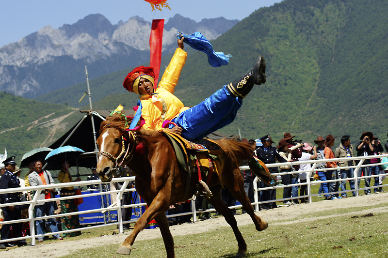 SONY DSC Horse racing festival